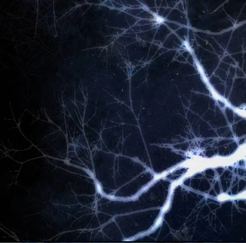 71 Príncipe problemático