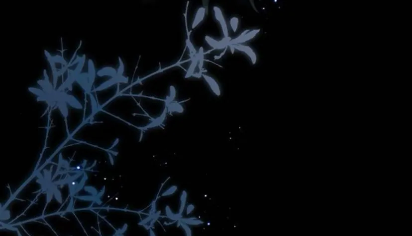 5 Príncipe problemático