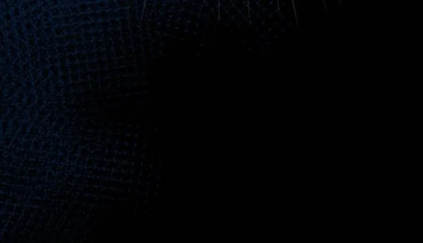 17 Príncipe problemático