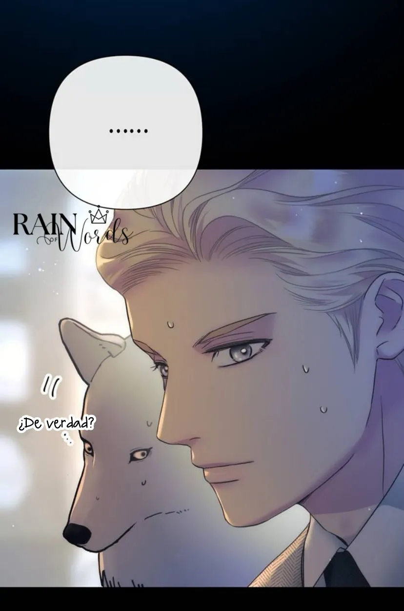 26 Príncipe problemático