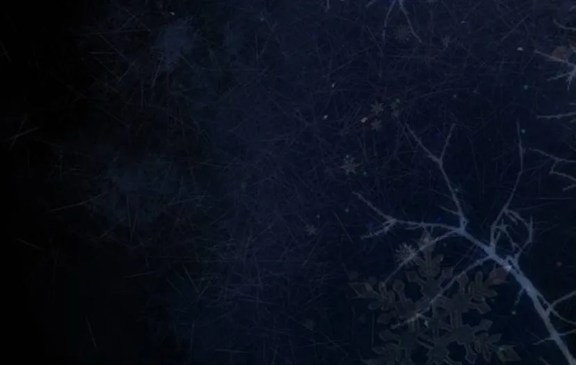 73 Príncipe problemático