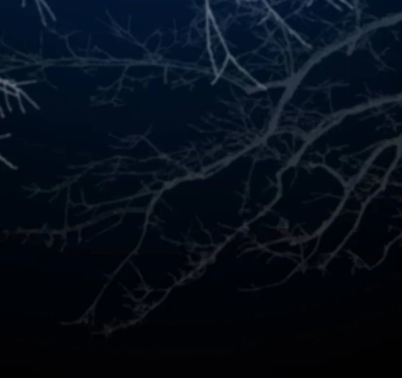 117 Príncipe problemático