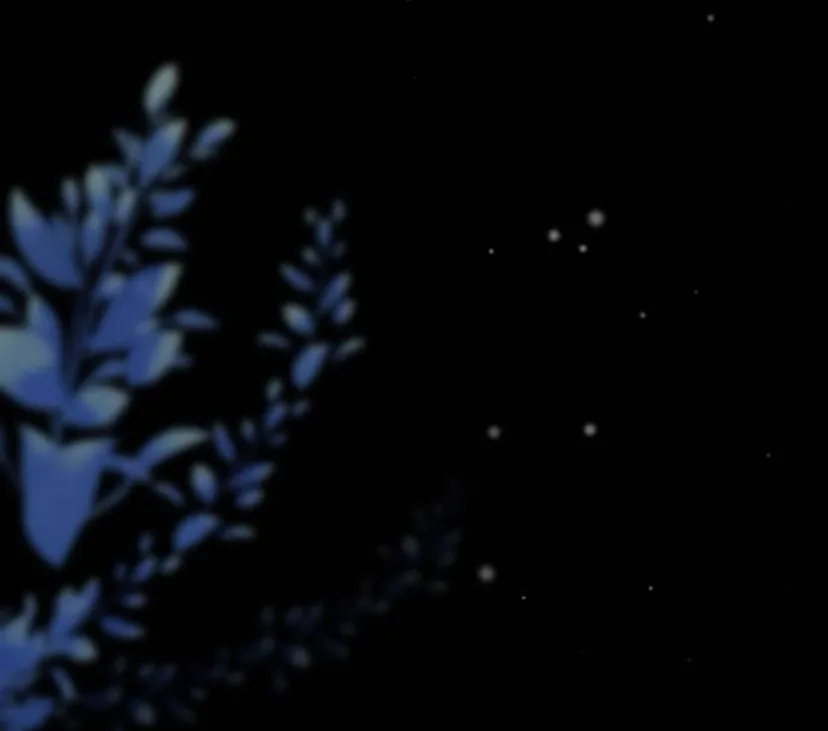 87 Príncipe problemático