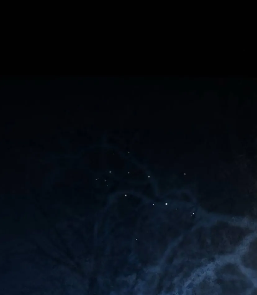 92 Príncipe problemático