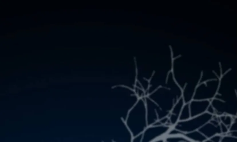 3 Príncipe problemático