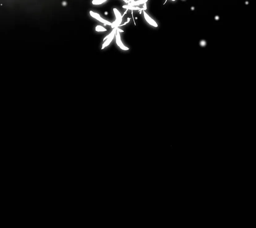 17 Príncipe problemático