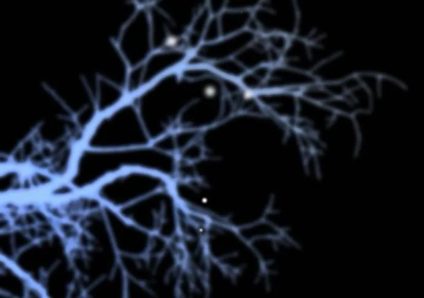 47 Príncipe problemático