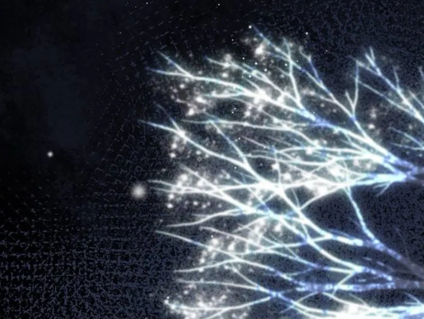 60 Príncipe problemático