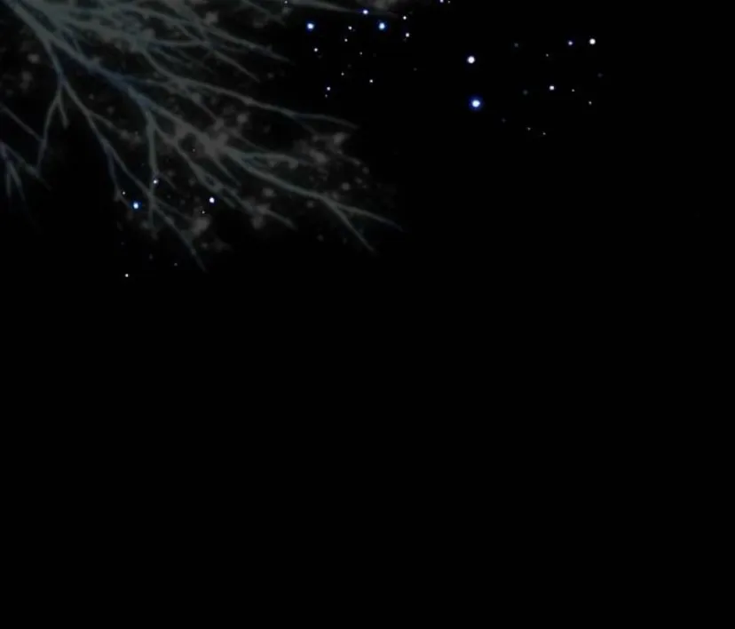 42 Príncipe problemático