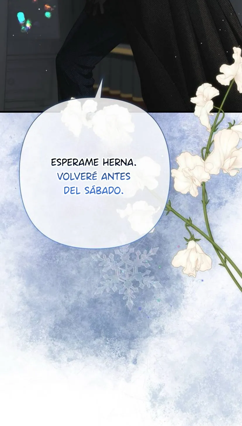 91 Príncipe problemático