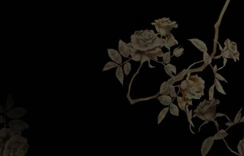 48 Príncipe problemático