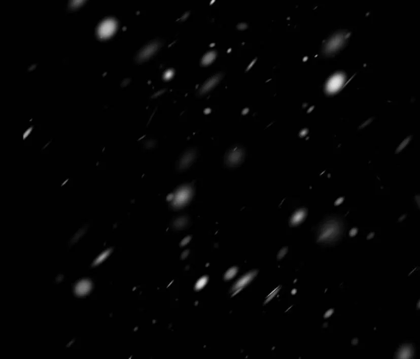 90 Príncipe problemático