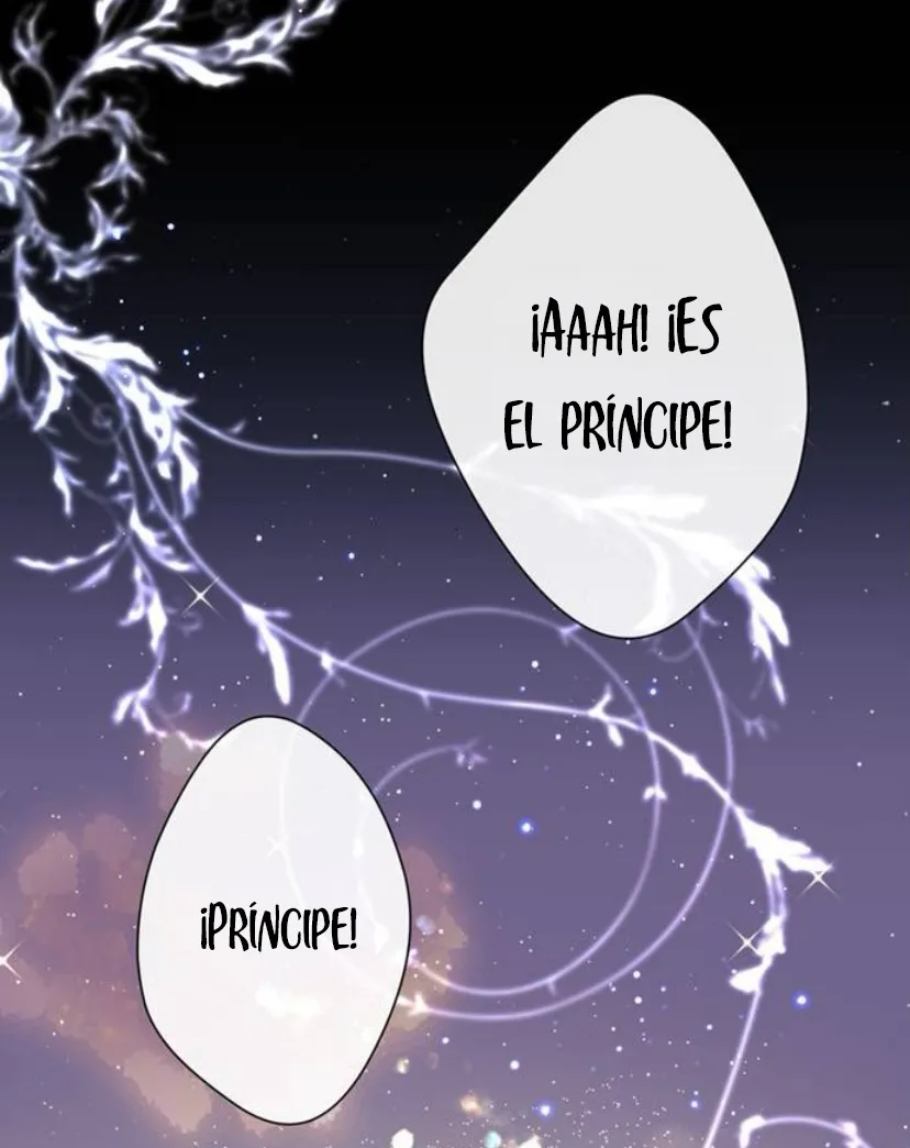 3 Príncipe problemático