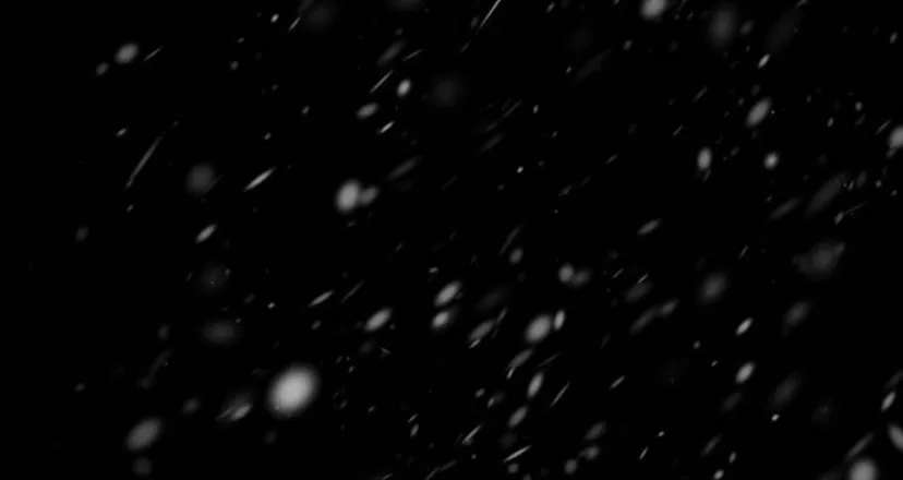 102 Príncipe problemático