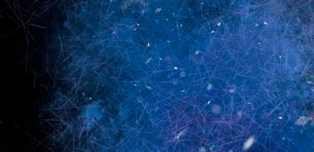 124 Príncipe problemático