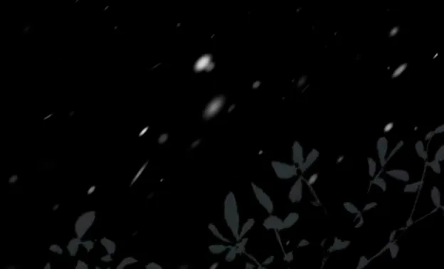 49 Príncipe problemático