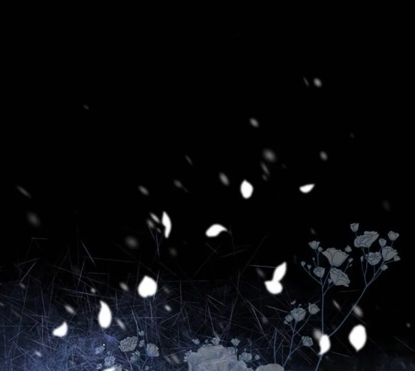 62 Príncipe problemático