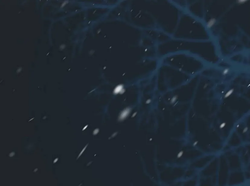 124 Príncipe problemático