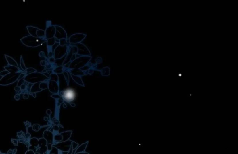 23 Príncipe problemático