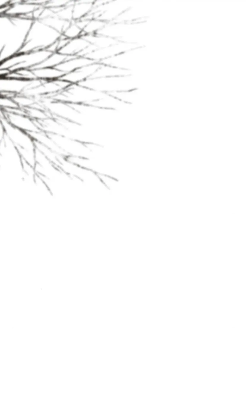 79 Príncipe problemático