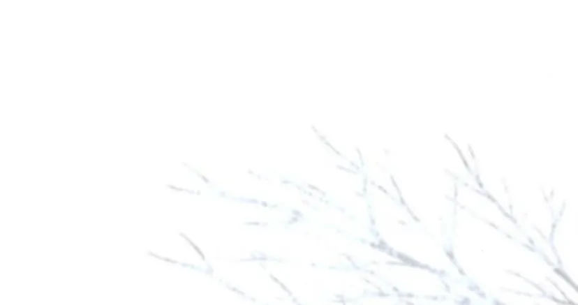 65 Príncipe problemático