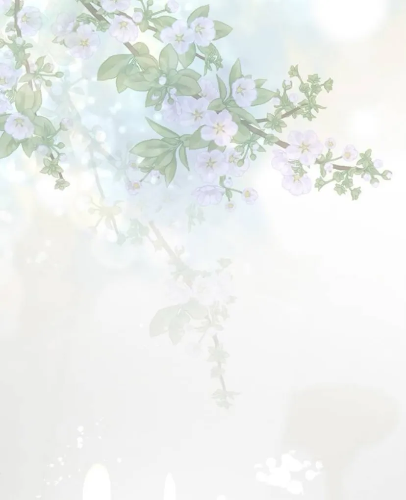 17 Príncipe problemático