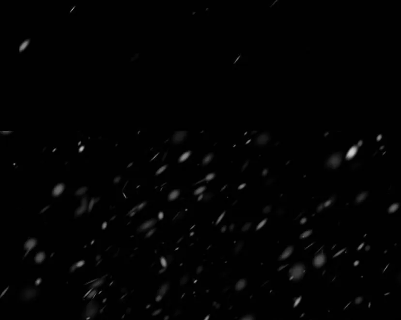 17 Príncipe problemático