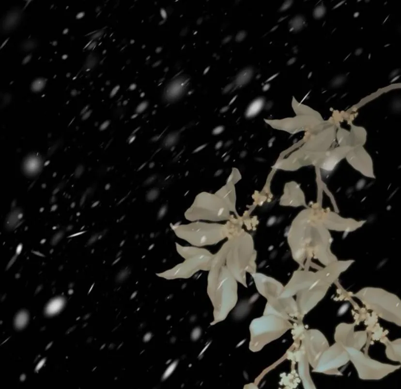 19 Príncipe problemático