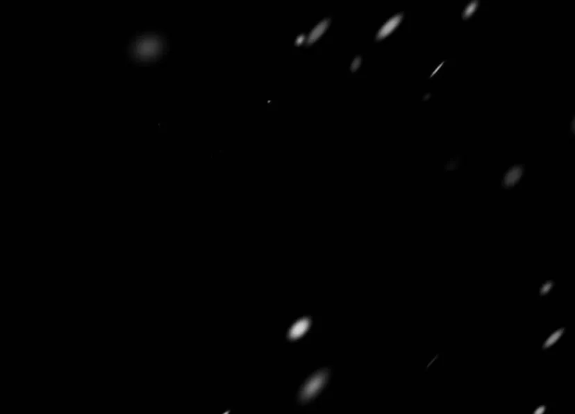 15 Príncipe problemático