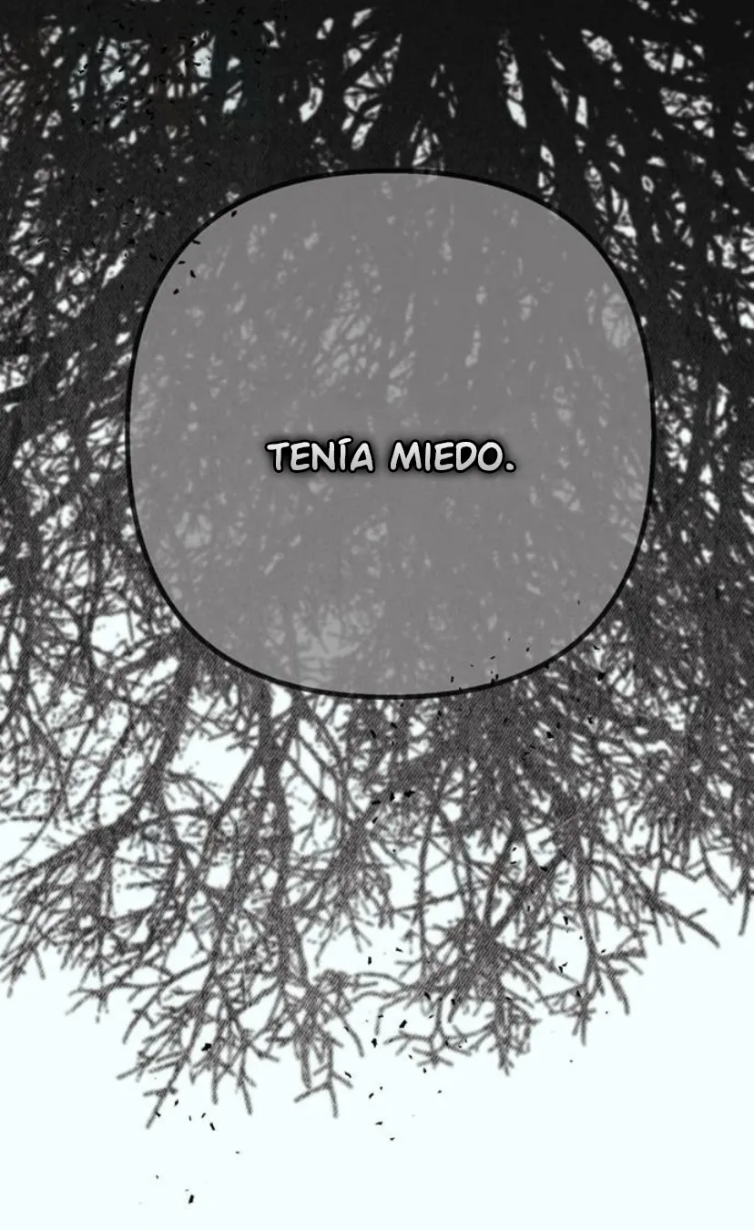 114 Príncipe problemático