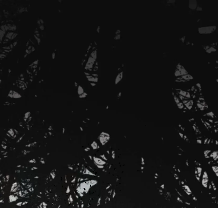 113 Príncipe problemático