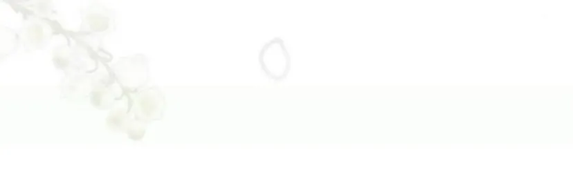 77 Príncipe problemático