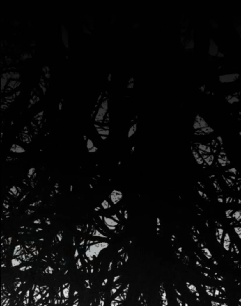 2 Príncipe problemático