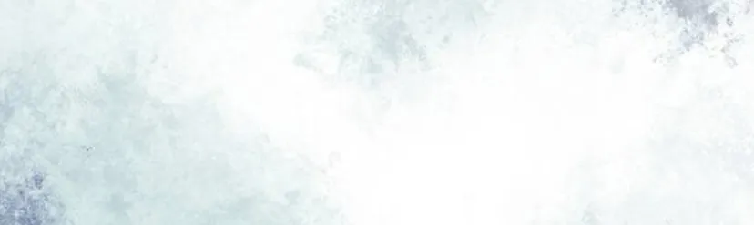 6 Príncipe problemático