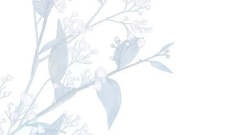 91 Príncipe problemático