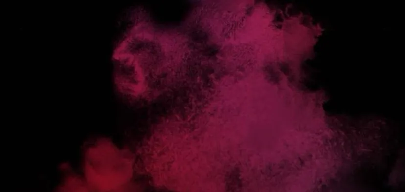 45 Príncipe problemático