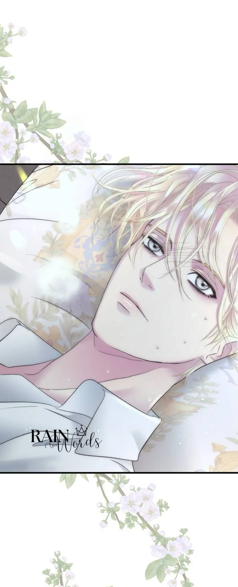 17 Príncipe problemático