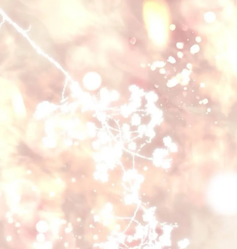 15 Príncipe problemático