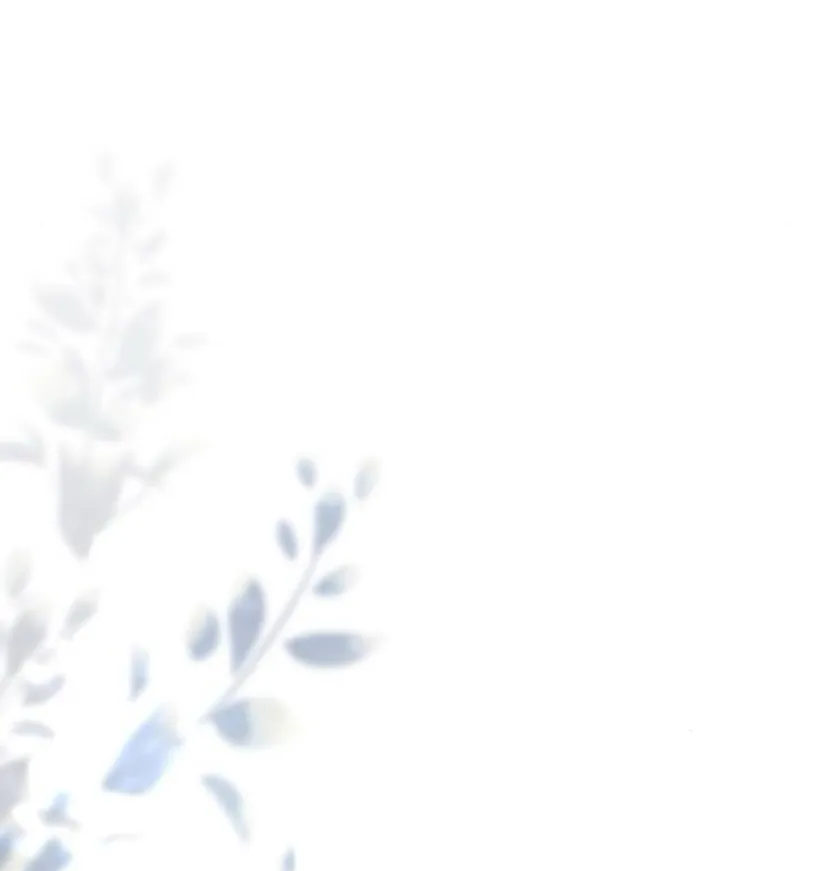 63 Príncipe problemático