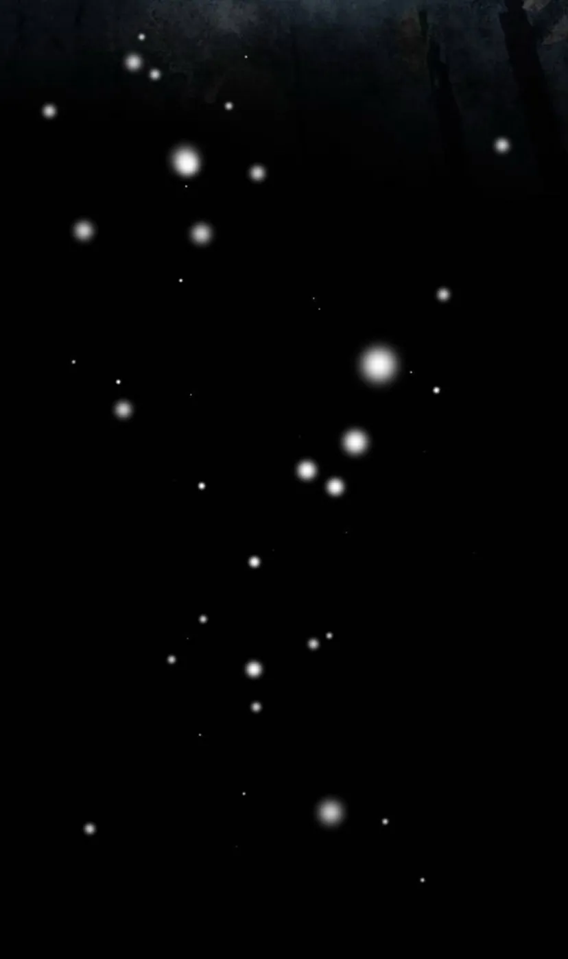 78 Príncipe problemático