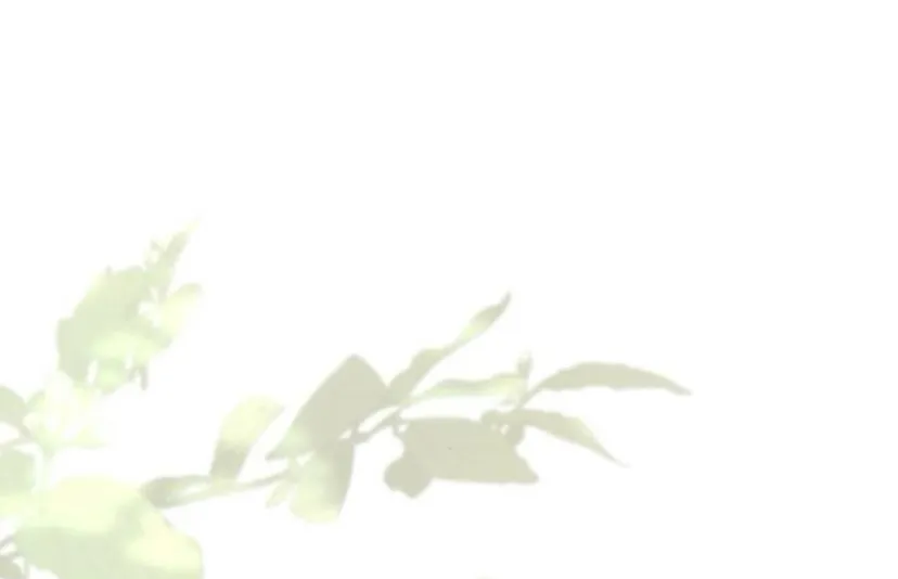 67 Príncipe problemático