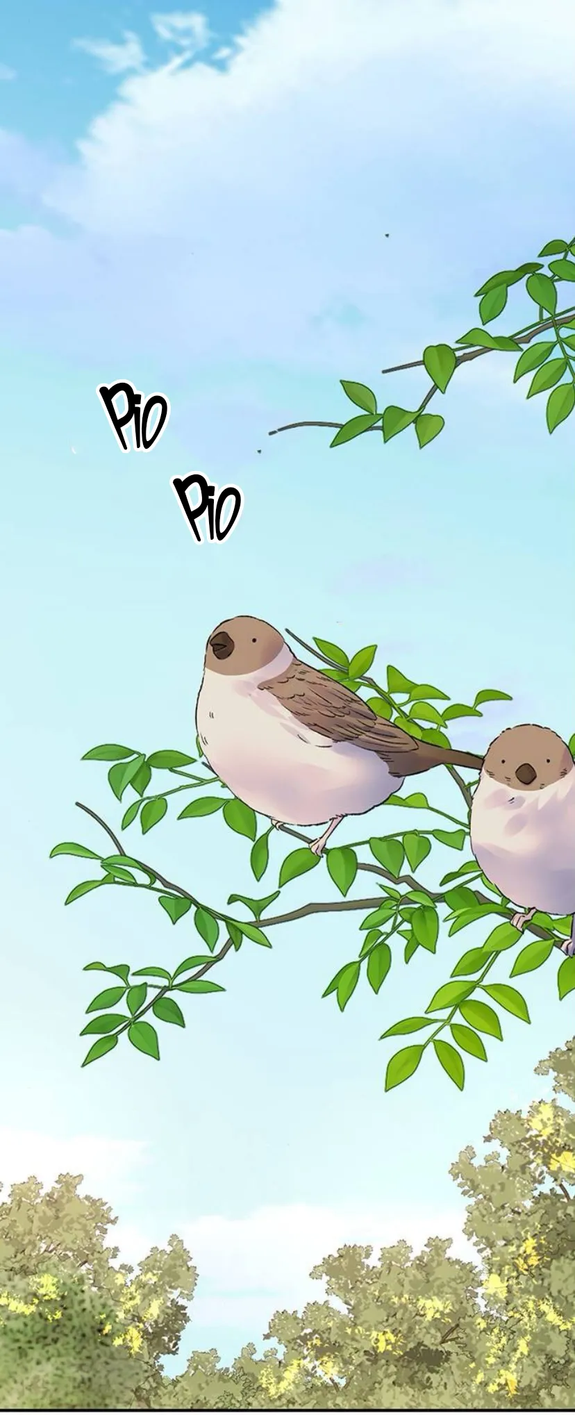 16 Pensé que tenía fecha límite