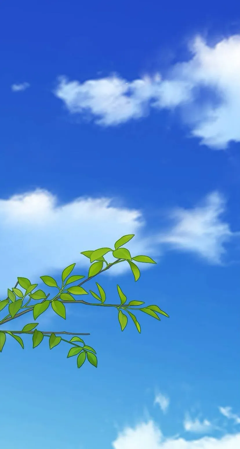 15 Pensé que tenía fecha límite