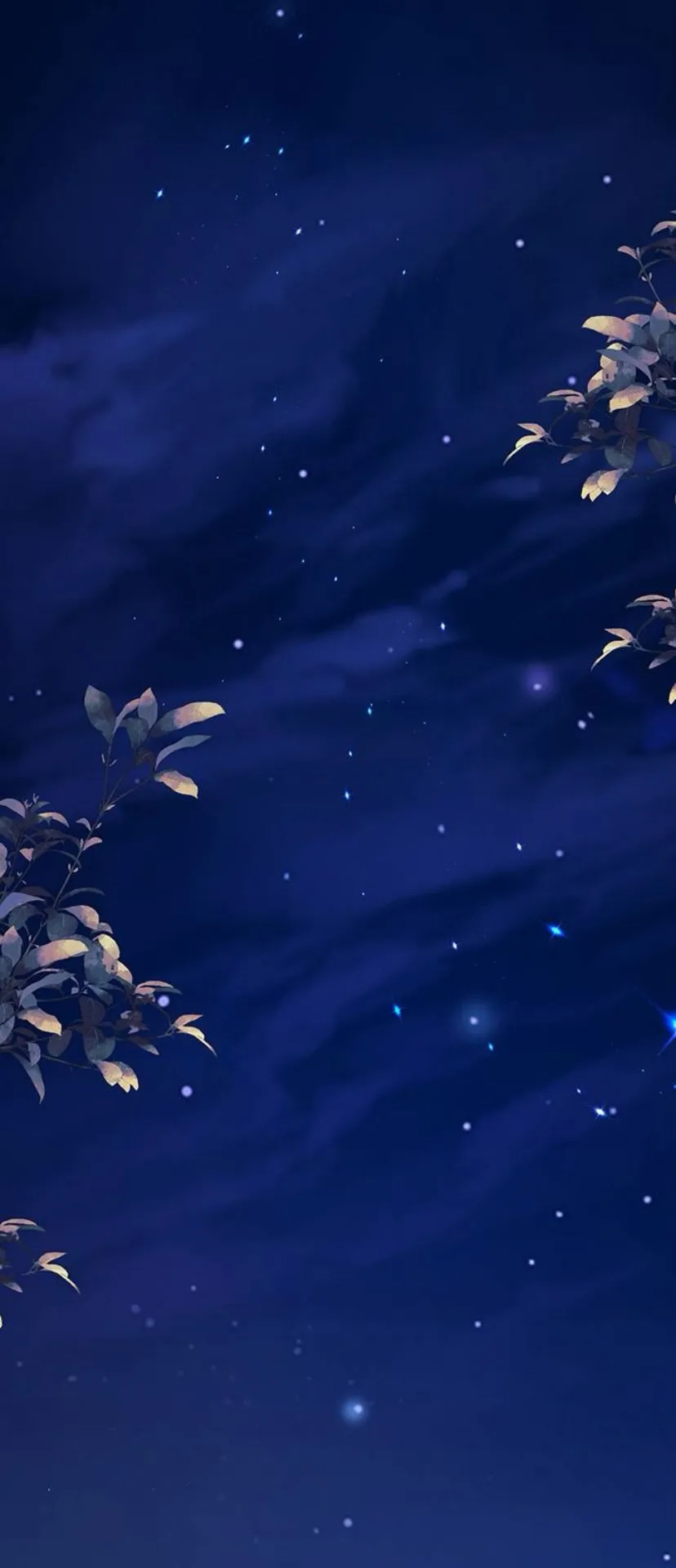 40 Pensé que tenía fecha límite