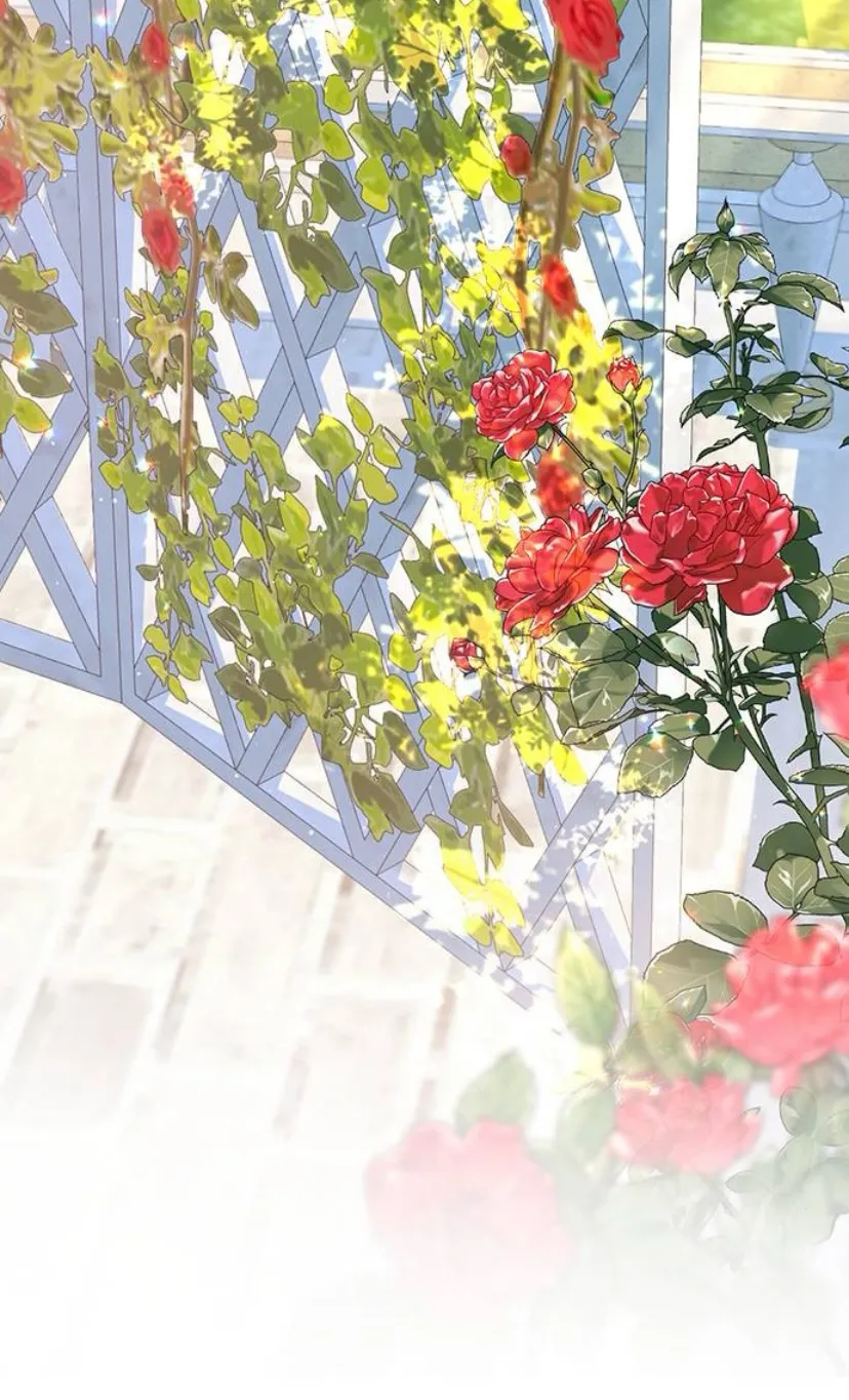 20 Pensé que tenía fecha límite