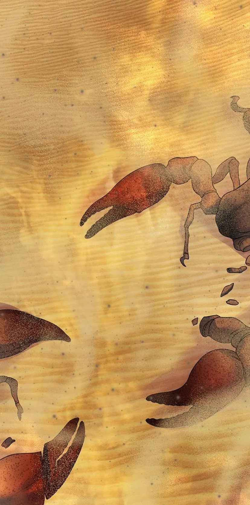 12 Pensé que tenía fecha límite