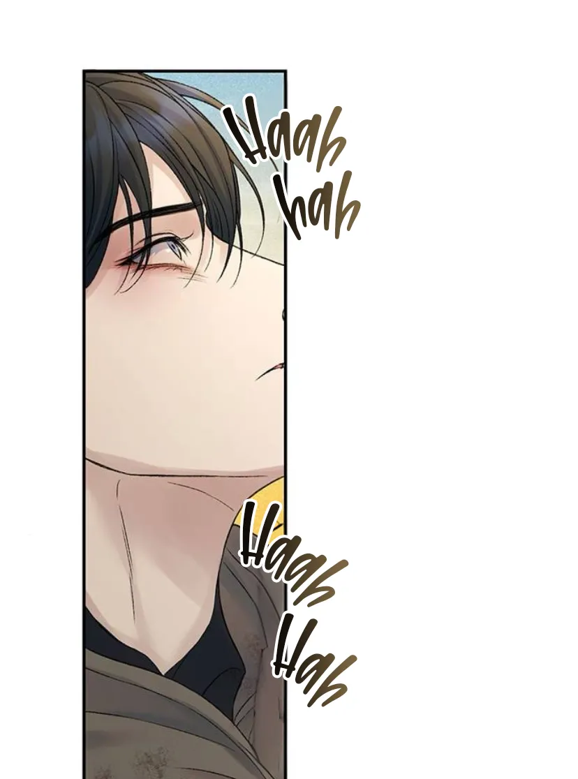 16 Pensé que tenía fecha límite