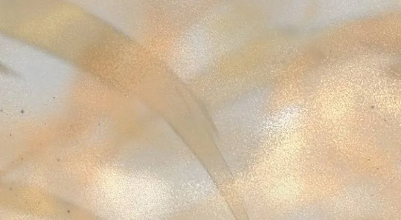 45 Pensé que tenía fecha límite