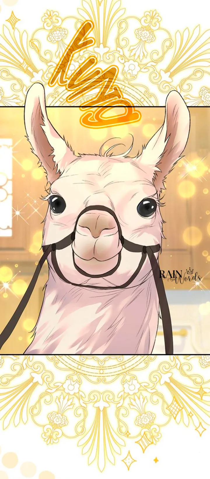 66 Pensé que tenía fecha límite