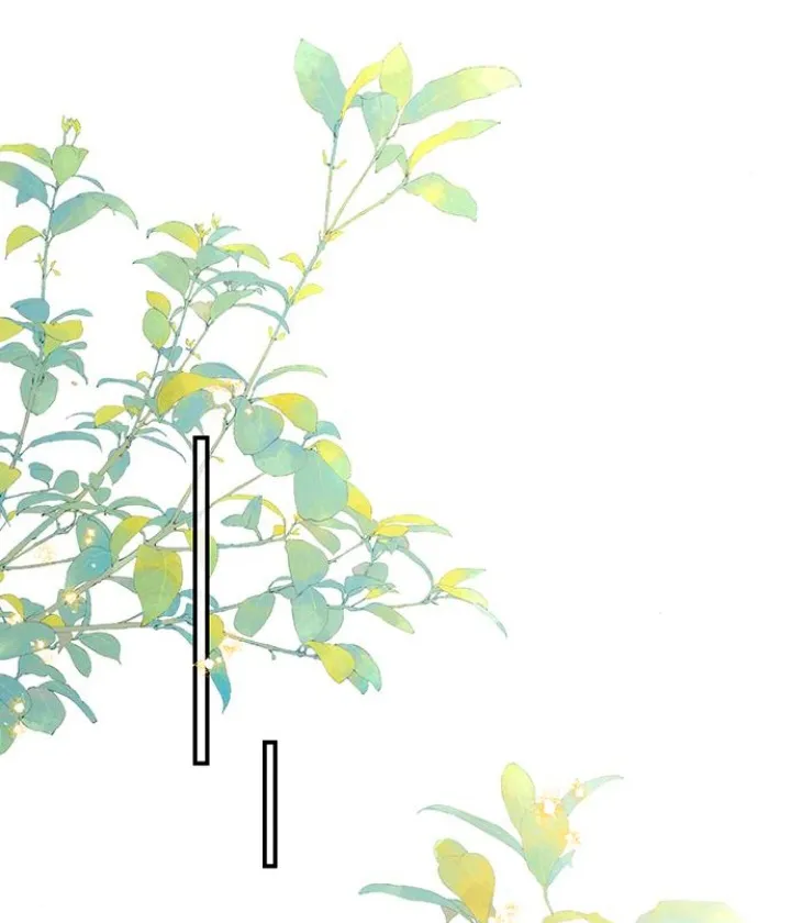 59 Pensé que tenía fecha límite